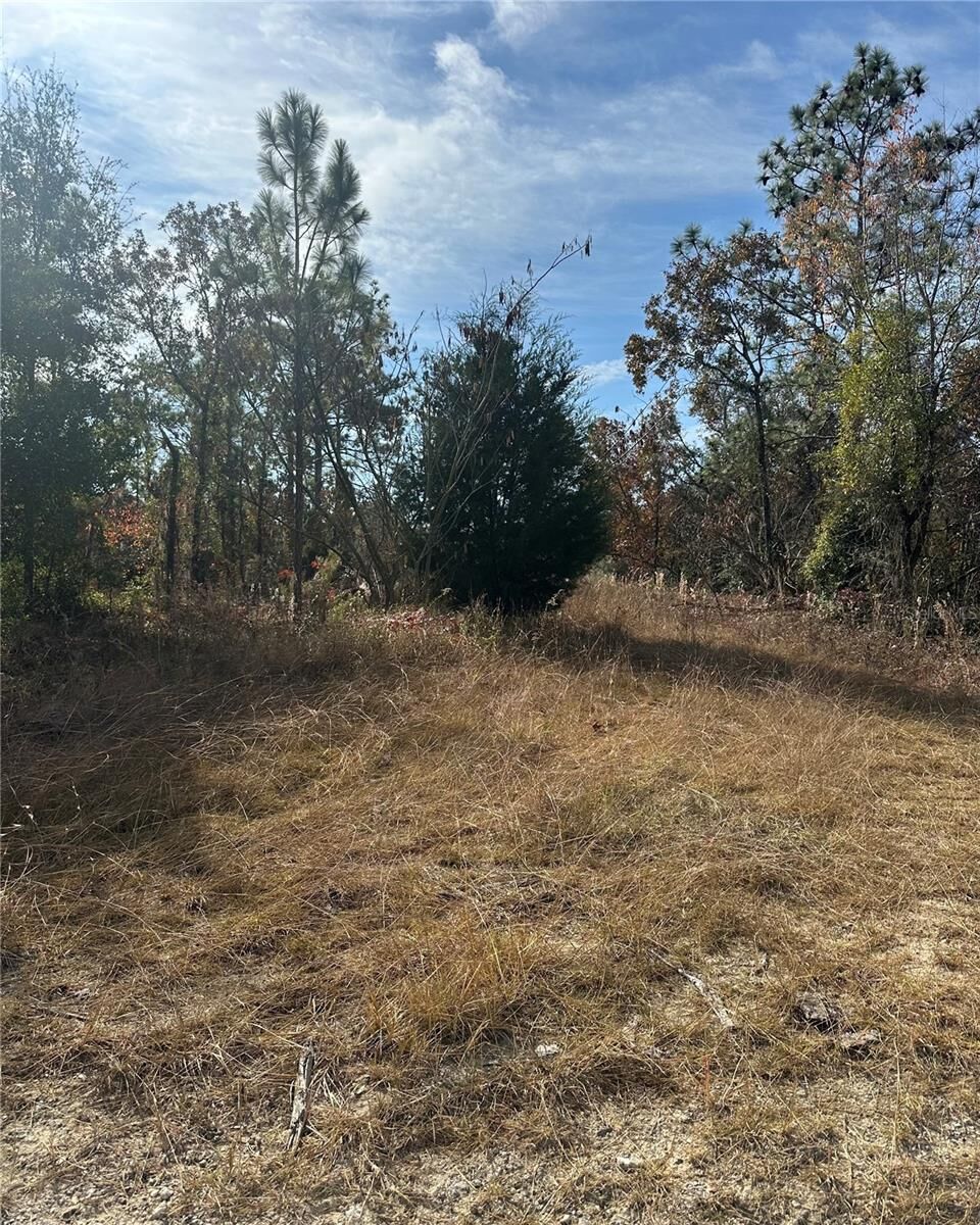 Property Photo:  Lot 2 NE 151st Ter  FL 32696 