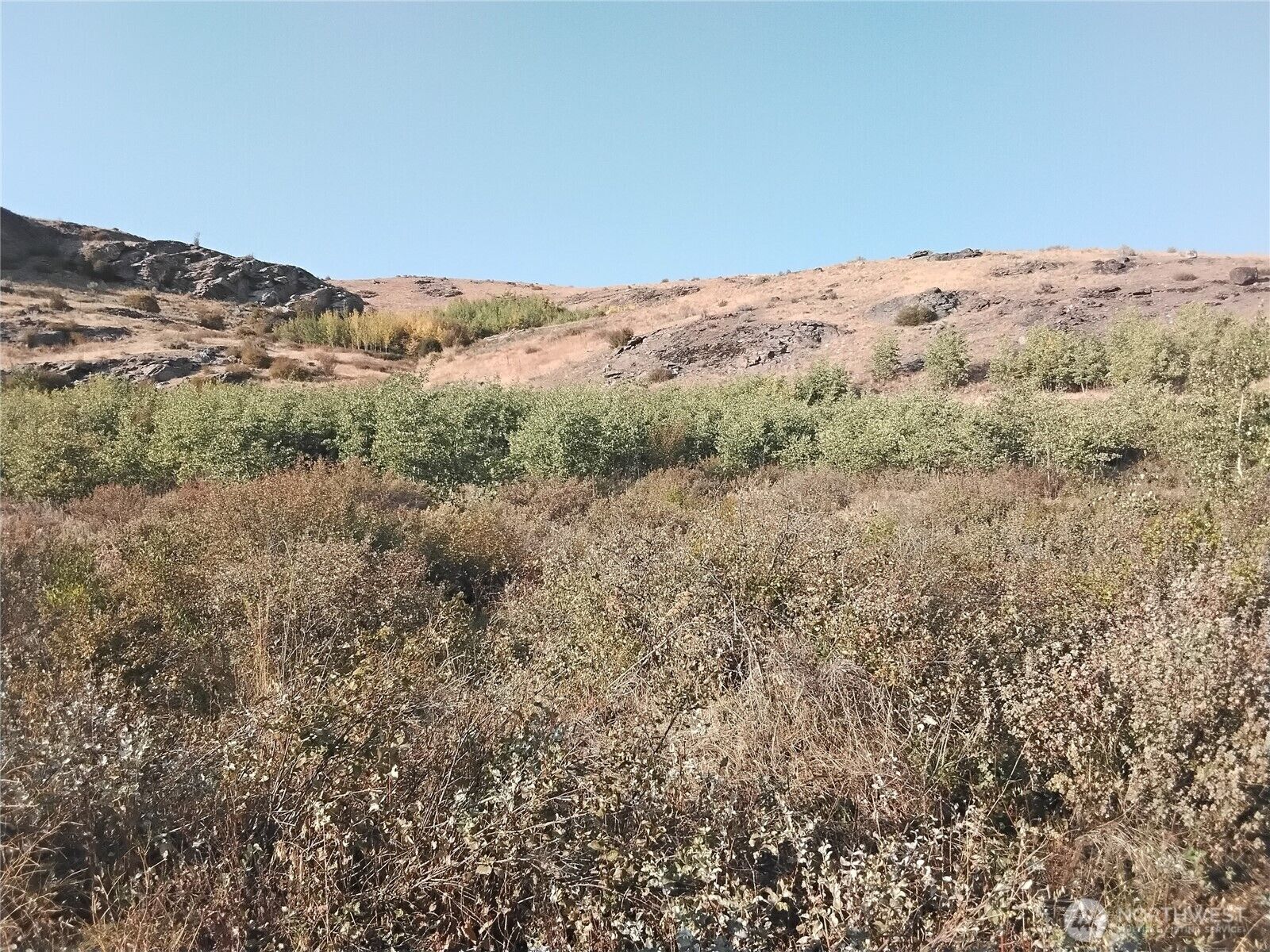 Property Photo:  5  Painted Rock Road  WA 98855 