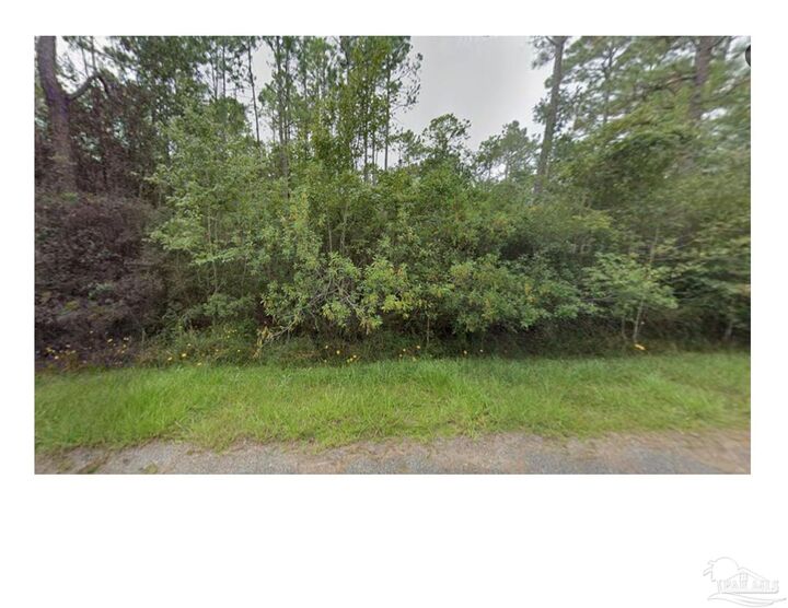 Property Photo:  0000 Couey Rd  FL 32583 