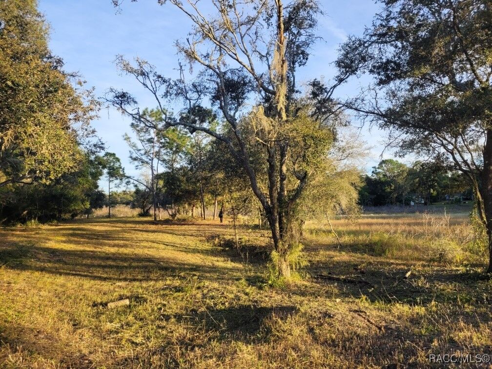 Property Photo:  0 Octavia Lane  FL 33597 