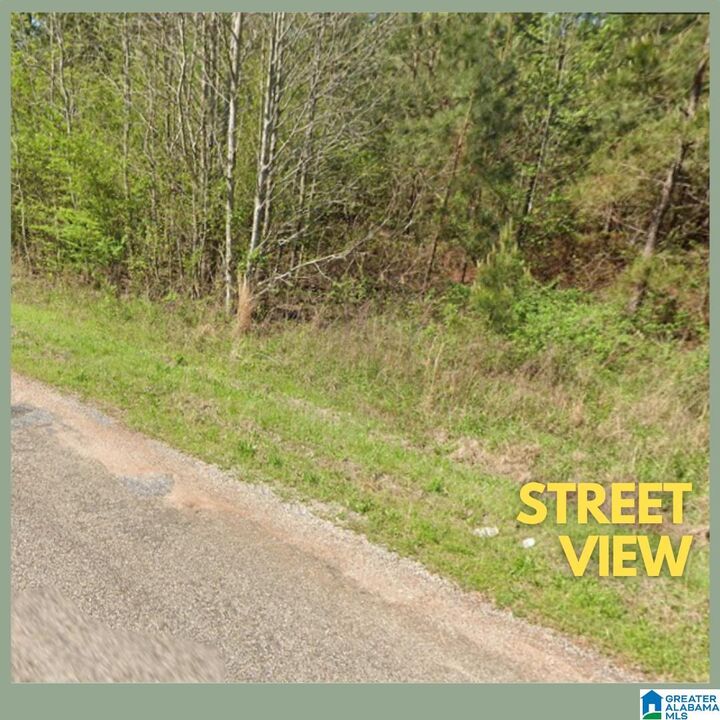 Property Photo:  Tract 3B County Road 329 Tract 3B  AL 36278 