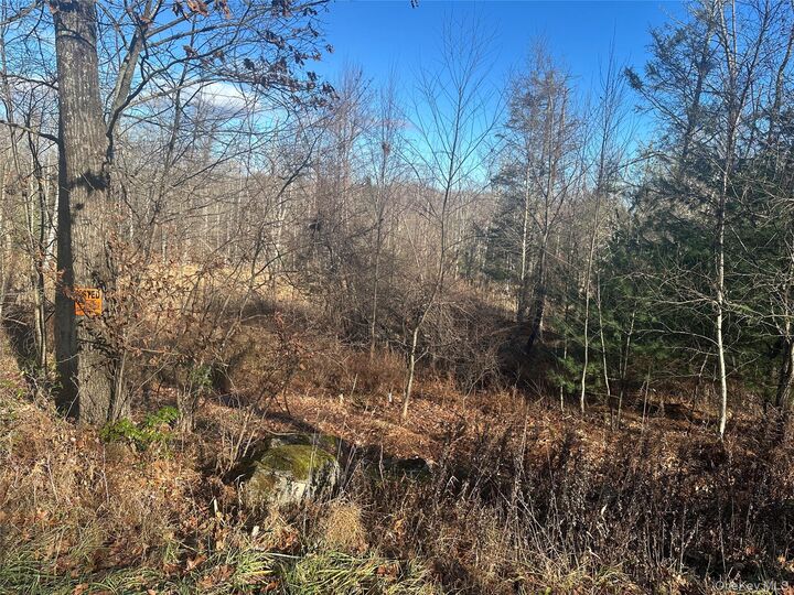 Property Photo:  Oak Ridge  NY 12428 