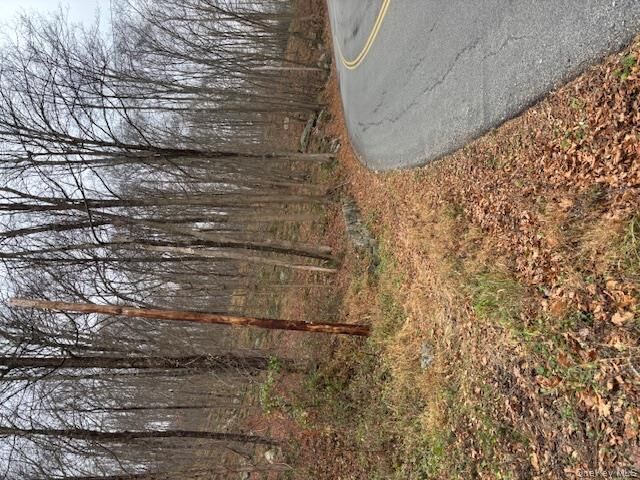 Property Photo:  82 Wiccopee Road  NY 10579 