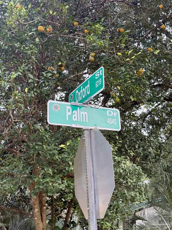 Property Photo: 6321 Oxford Dr FL 32583