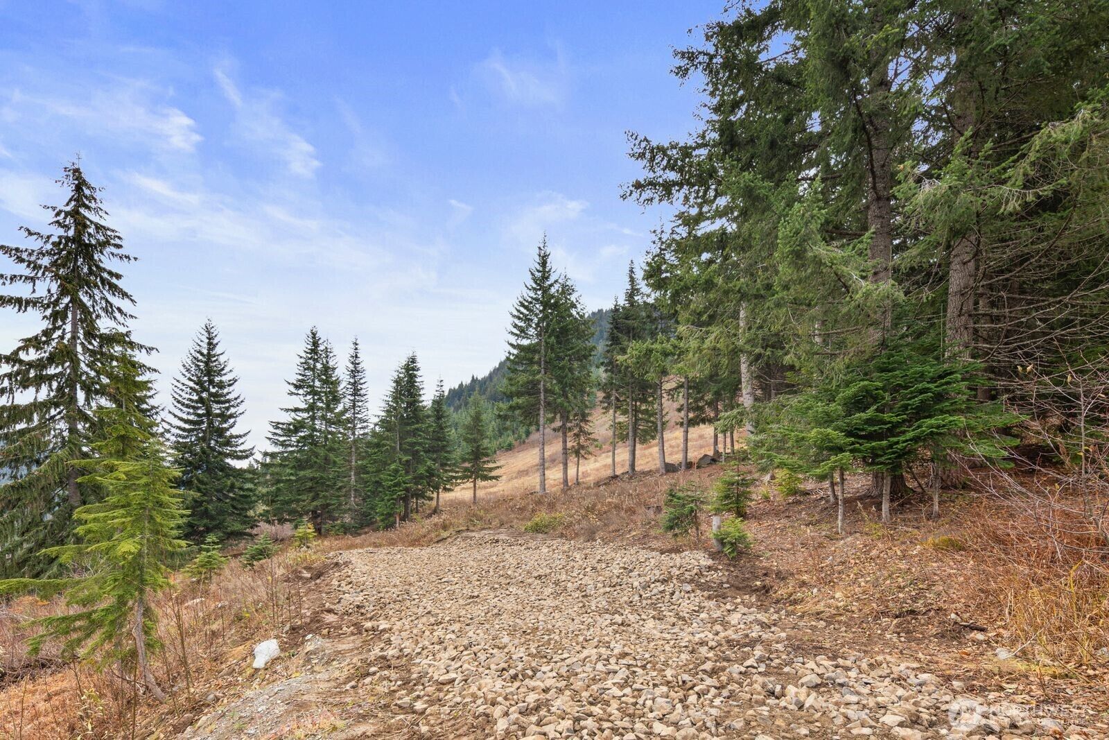 Property Photo:  321  Innsbruck Drive  WA 98068 