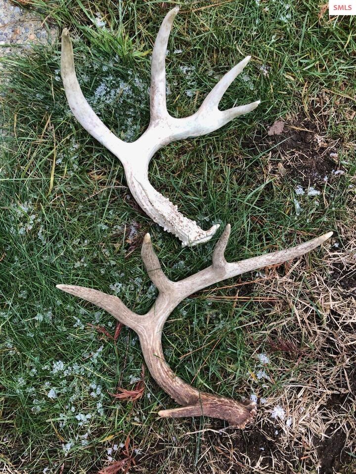 Property Photo: Nna Juniper Lane 20 Acres ID 83847