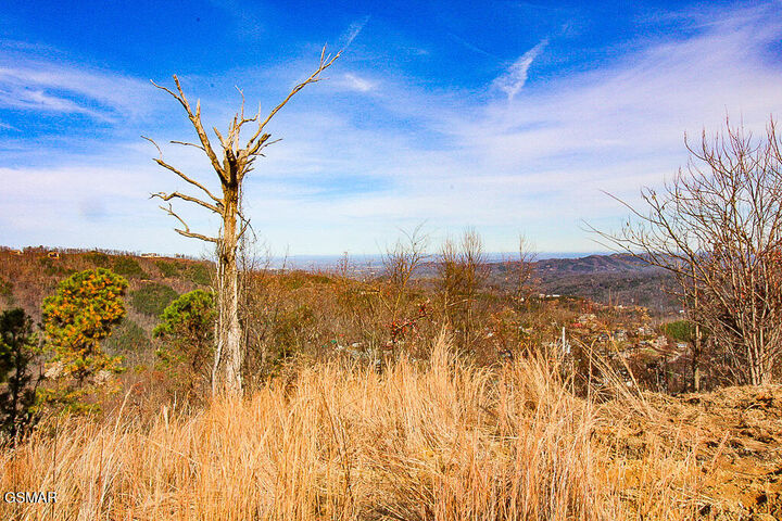 Property Photo:  915 Piney Butt Way  TN 37738 