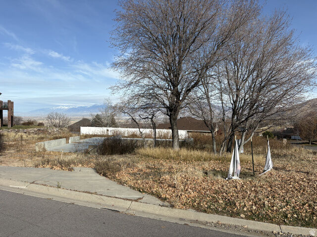 312 W Haleys Lookout  Elk Ridge UT 84651 photo