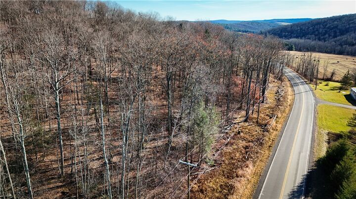 Property Photo: Lot-01 Langford Creek Road NY 14889