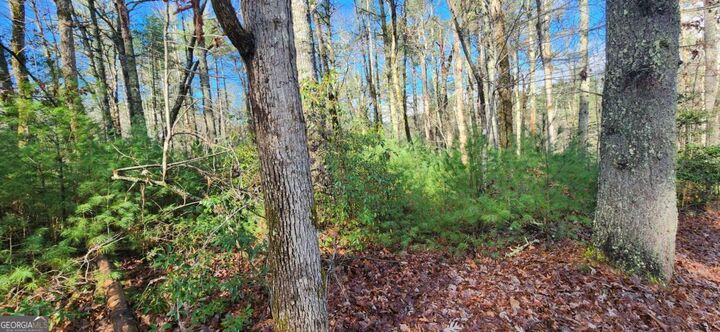 Property Photo:  3 Lots Ridgecrest Drive 76,78,80  GA 30513 