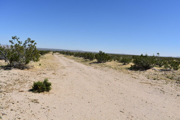 Property Photo: Yerba Blvd &Amp S/O Harriet Ave CA 93501