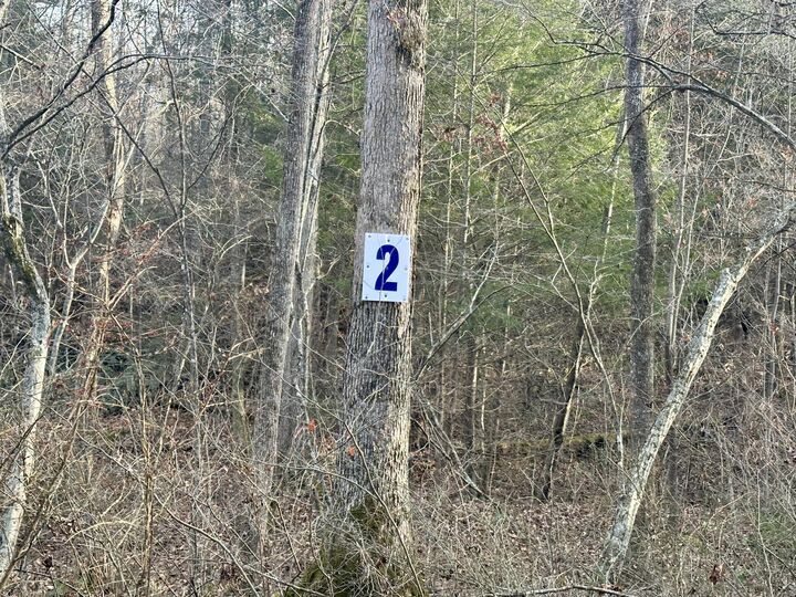 Property Photo:  Lot 2 Radford Road  KY 40729 