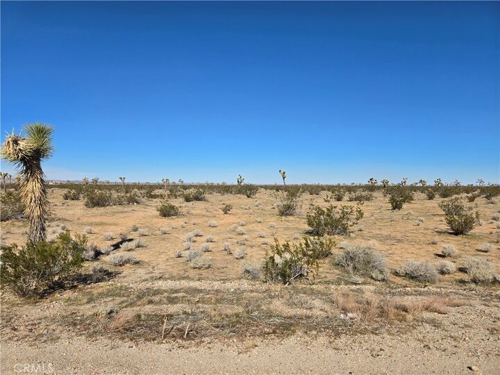 Property Photo:  0 Nichols Road  CA 92301 