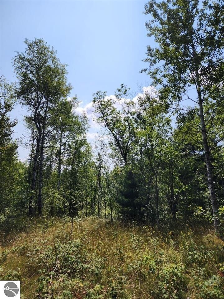 Property Photo:  Vl Snowridge Trail  MI 49730 