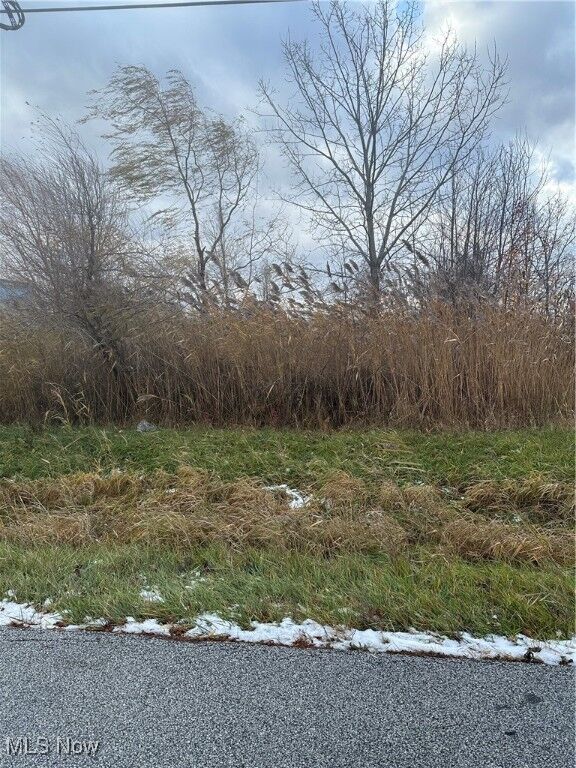 Property Photo:  7440 Clover Avenue  OH 44060 