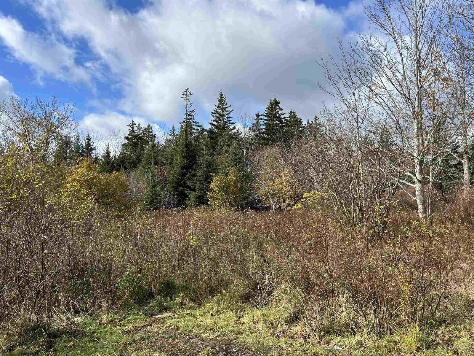 Property Photo:  2936 Highway 3  NS B0W 1E0 