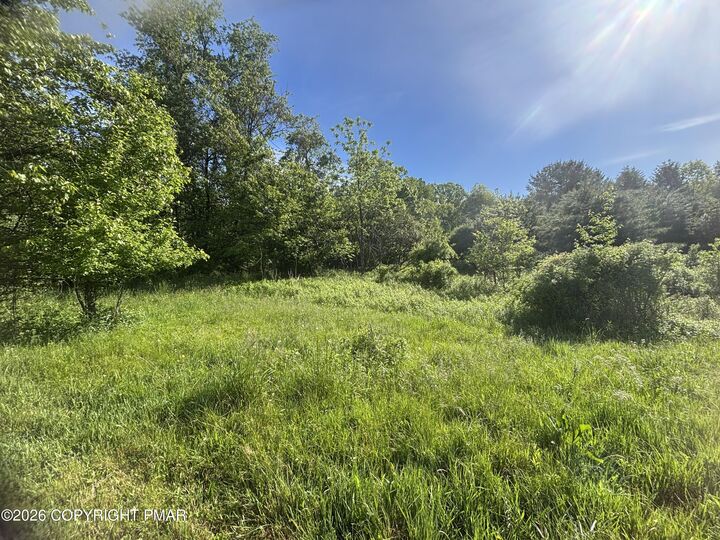 Property Photo: 419 E White Bear Drive PA 18250