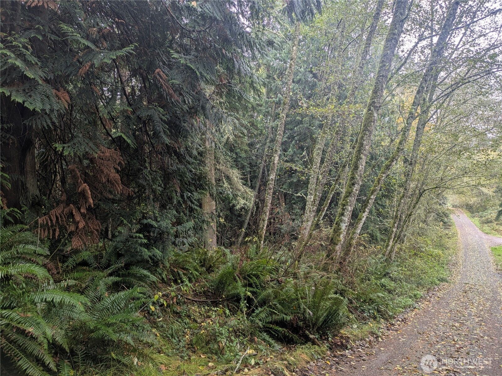 Property Photo:  0 Xxx  Sorrel Lane  WA 98236 