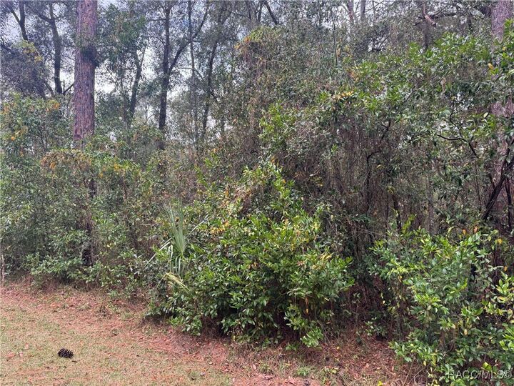 Property Photo:  6617 And 6633 E Hampton Lane  FL 34452 