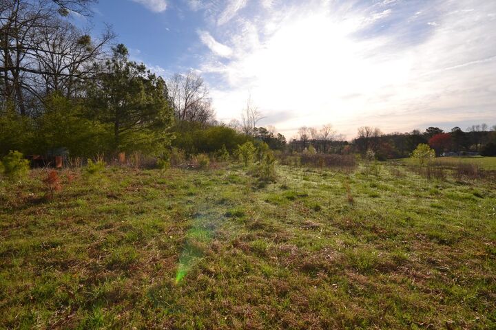 Property Photo: 0 Co Rd 1653 AL 35058 - CULLMAN