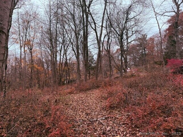 Property Photo: 72D Walnut Street CT 06483