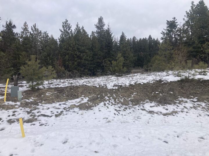 Property Photo: 39941 Loon Lake Ct WA 99148