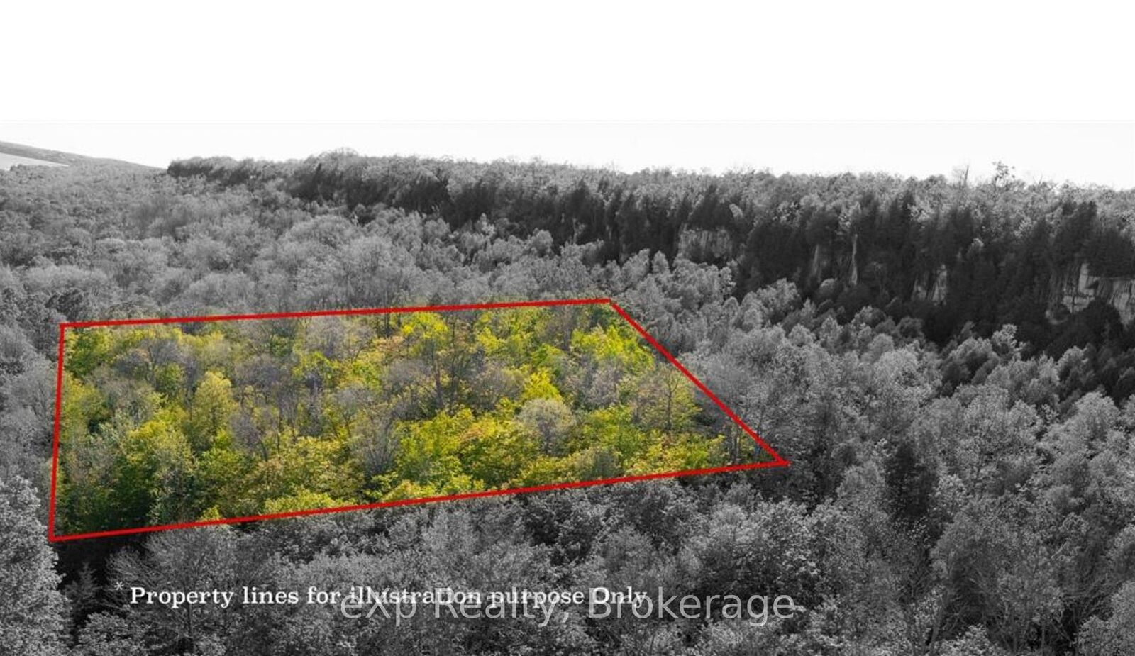 Property Photo:  Lot 202 - 203 9th Avenue  ON N0H 2T0 