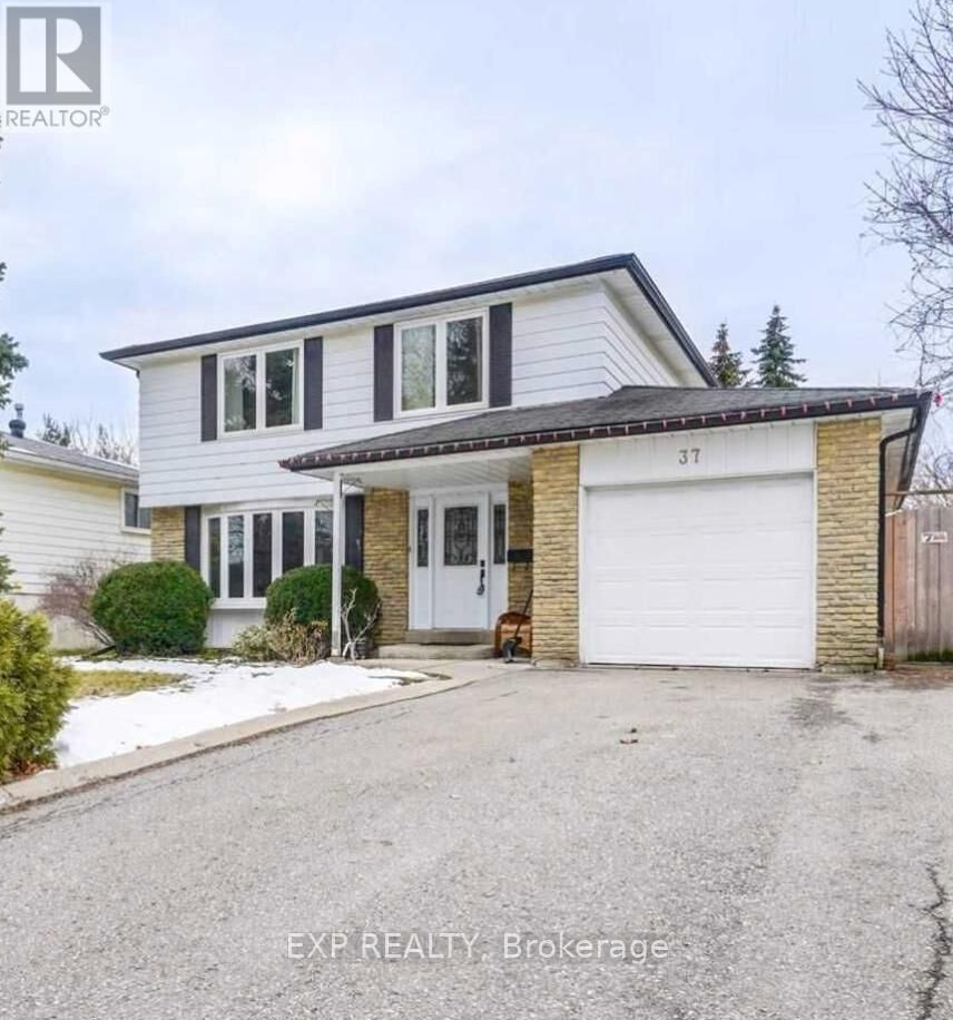 Property Photo:  37 Jasper Crescent Basement  ON L6S 1W8 