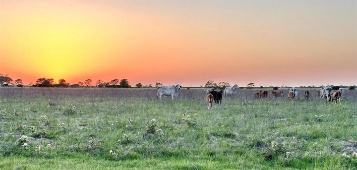 Property Photo: N/A Old Columbus Rd N TX 77474