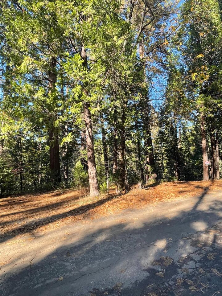 Property Photo:  22447 Ponderosa Drive  CA 95383 