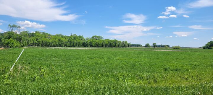 Property Photo:  Xxx 455th Avenue  MN 55307 