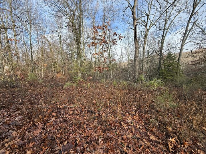 Property Photo: Dogwood Drive AR 72662