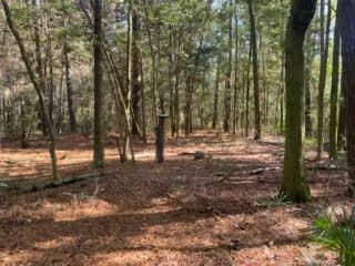 Property Photo: Parcel A Sunburst Drive FL 32539