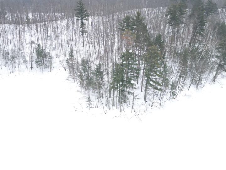 Property Photo: 64445 E Bass Lake Rd WI 54847