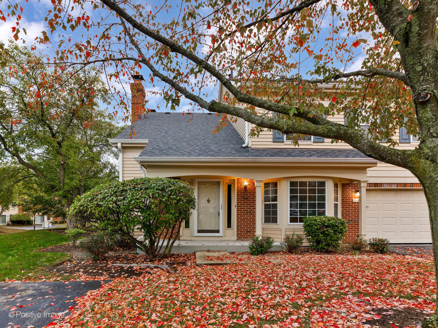 Property Photo:  216 Still Water Court  IL 60067 