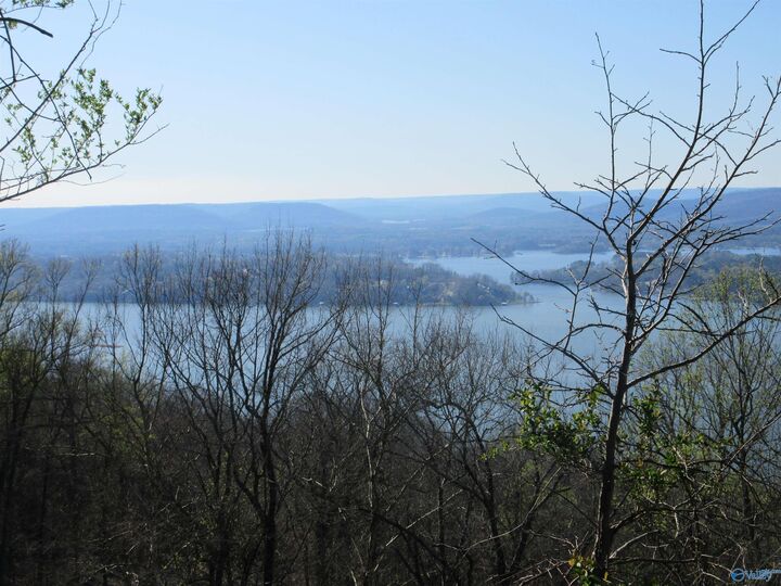 1960 County Road 223  Dutton AL 35744 photo