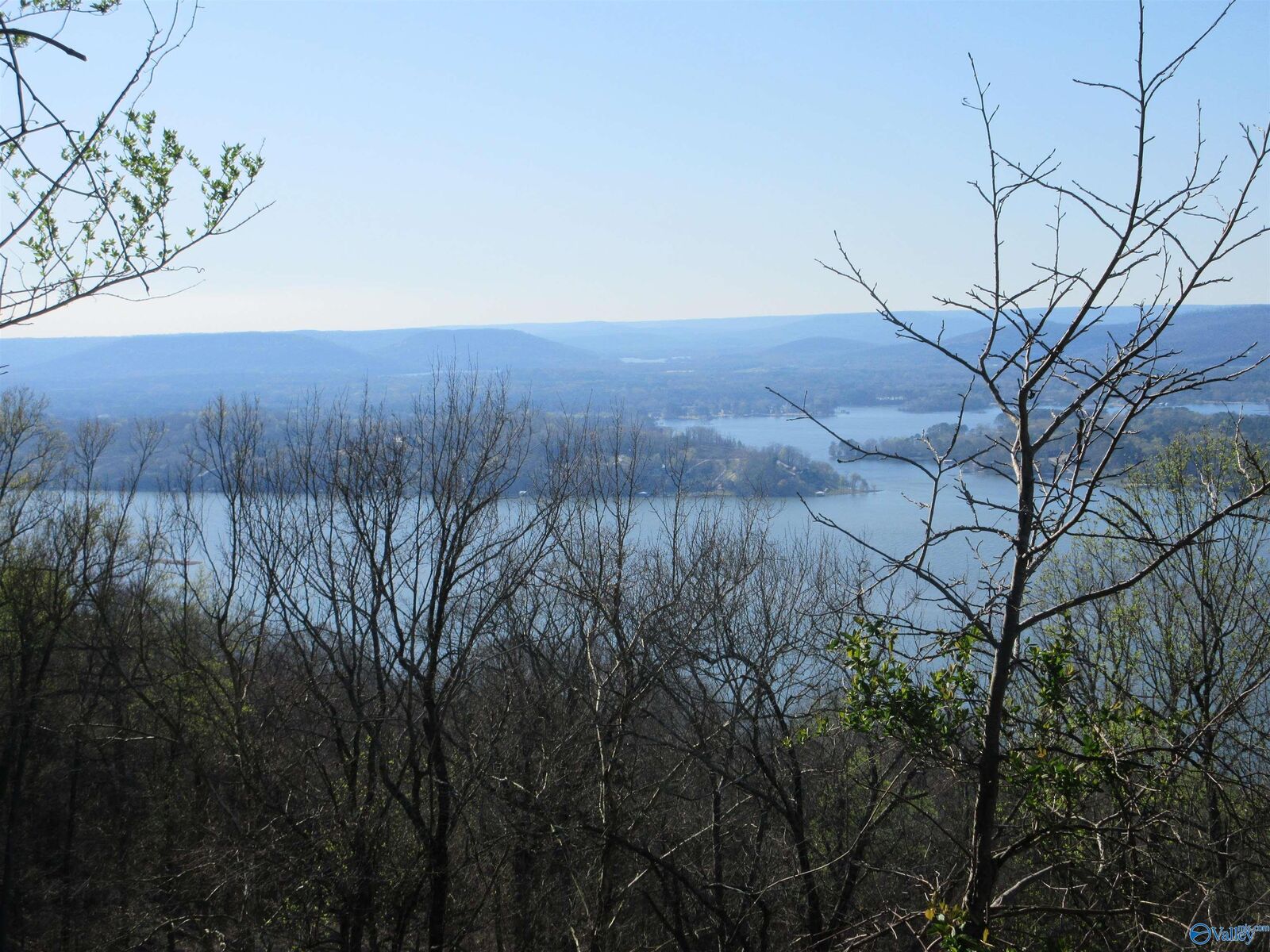 Property Photo: 1960 County Road 223 AL 35744