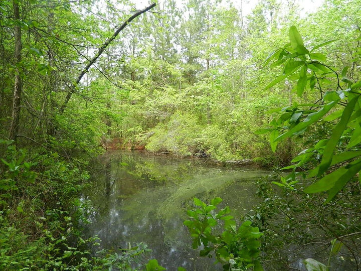 Property Photo: 00 Lewis Road NC 27597