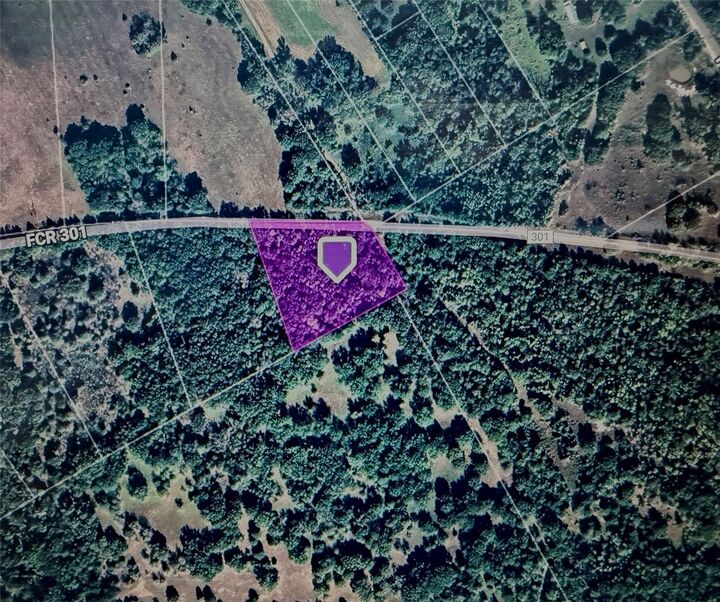 Property Photo: Tbd County Road 301 Tract 7 Road TX 75855