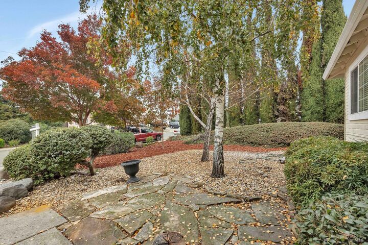 Property Photo:  256 Honeydew Drive  CA 94591 