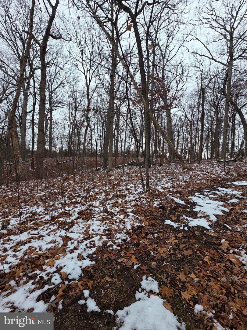 Property Photo:  Huttle  VA 22645 