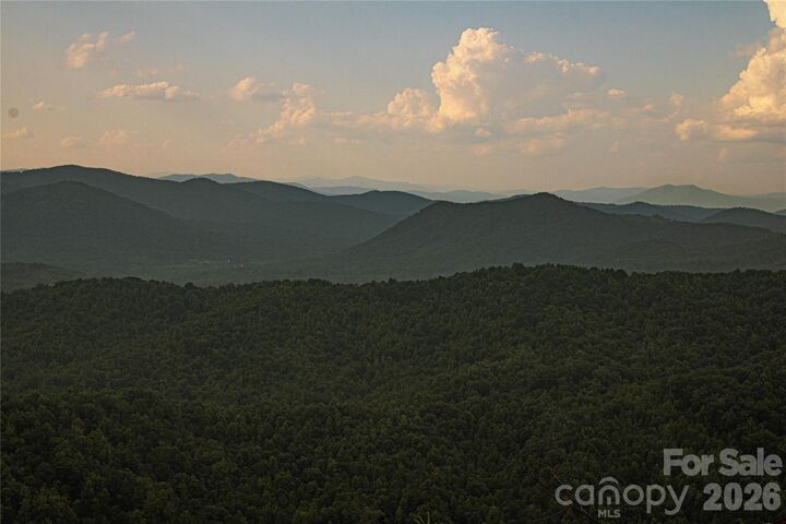 Property Photo:  0 Shoal Ridge Lane 4  NC 28167 