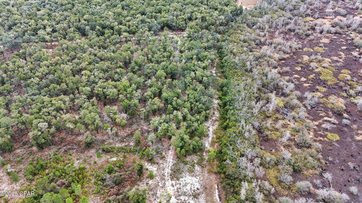 Property Photo:  0 Pine Log Road  FL 32428 