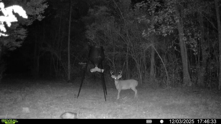 Property Photo: Parcel 1 Sunburst Drive FL 32539