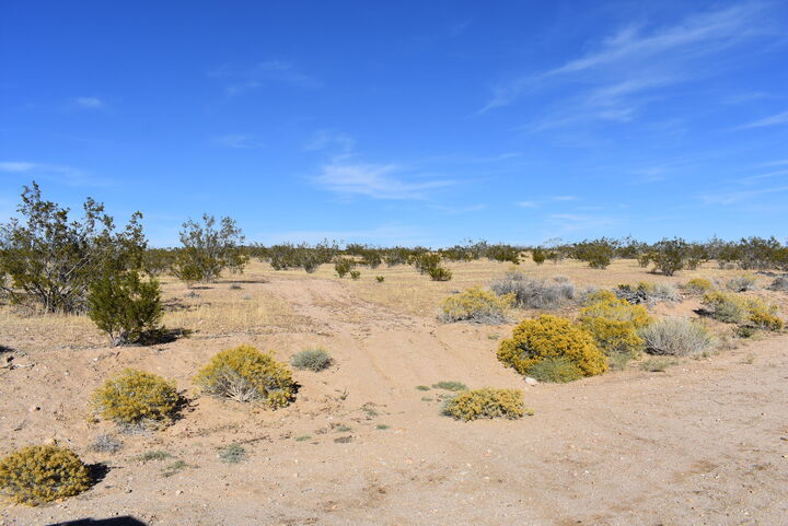 Property Photo:  Santa Clara St &Amp W/O San Jose St  CA 93505 