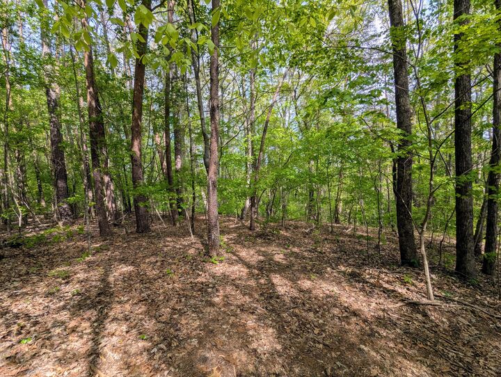 Property Photo:  00 Ladd Springs Road  TN 37362 