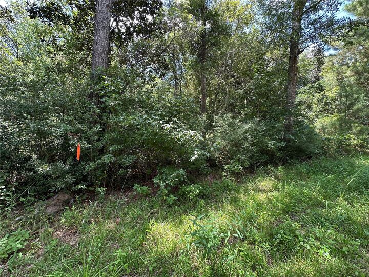 Property Photo:  91 Road 2726  TX 77327 