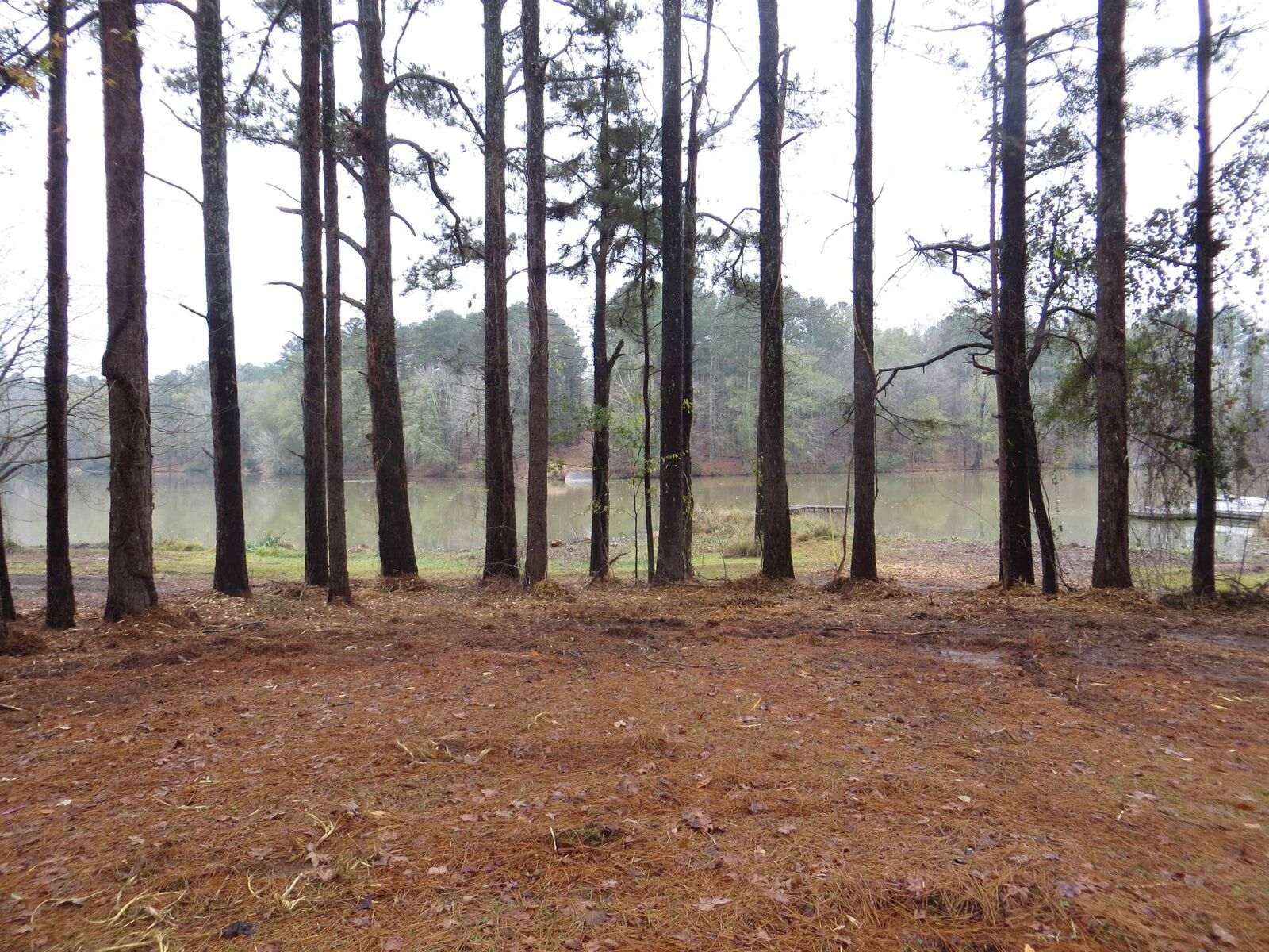 Property Photo: Sugar Creek Trail Lot 10 GA 30625