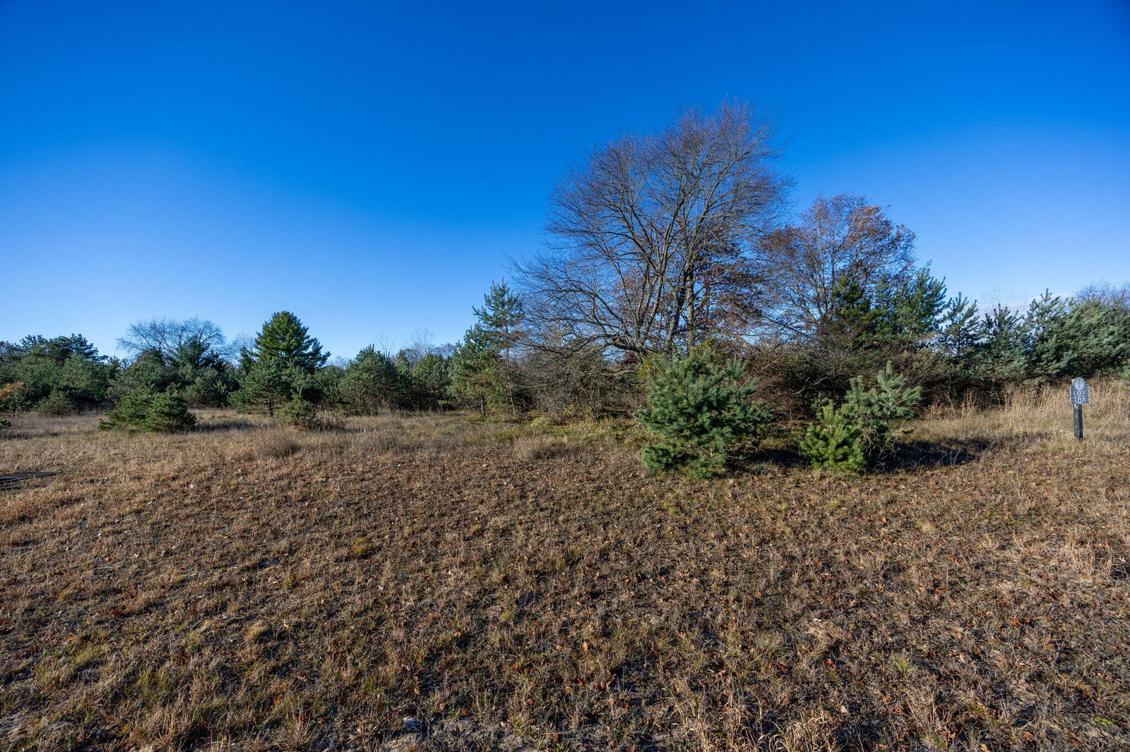 Property Photo: 11253 Killarney Drive MI 49346