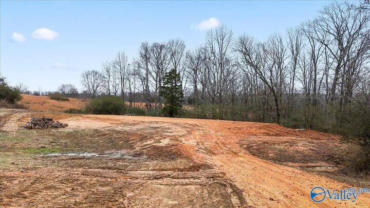 Property Photo:  10356 County Road 17  AL 35776 